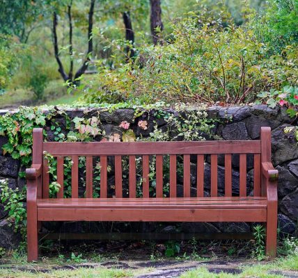 3 matières que vous pourriez choisir pour votre banc de jardin