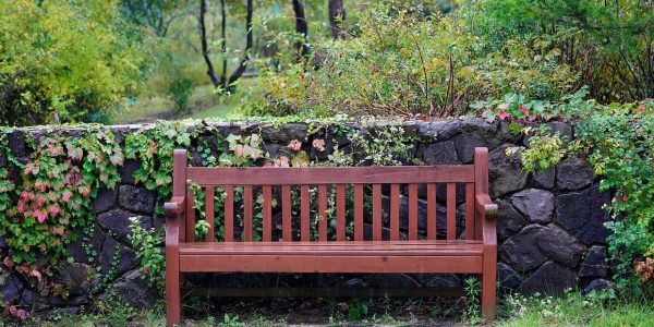 3 matières que vous pourriez choisir pour votre banc de jardin