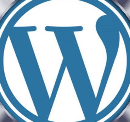 Comment bien choisir son assistant WordPress ?