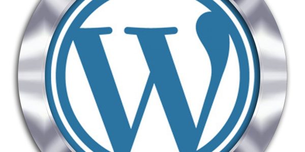 Comment bien choisir son assistant WordPress ?