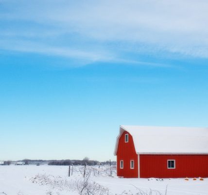 Comment améliorer l'aération de vos bâtiments d'élevage ?