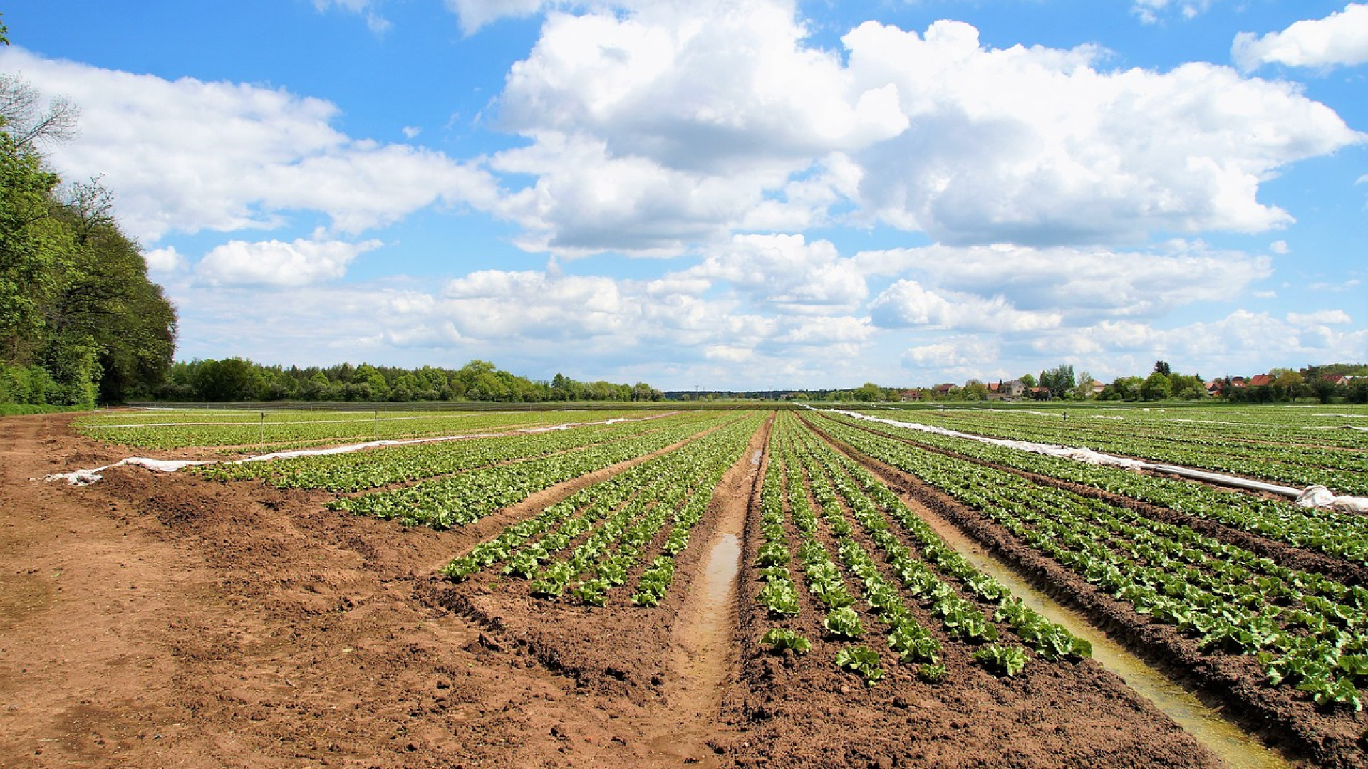 Terrains agricoles : quelles solutions aujourd'hui pour stabiliser les zones de passage ?