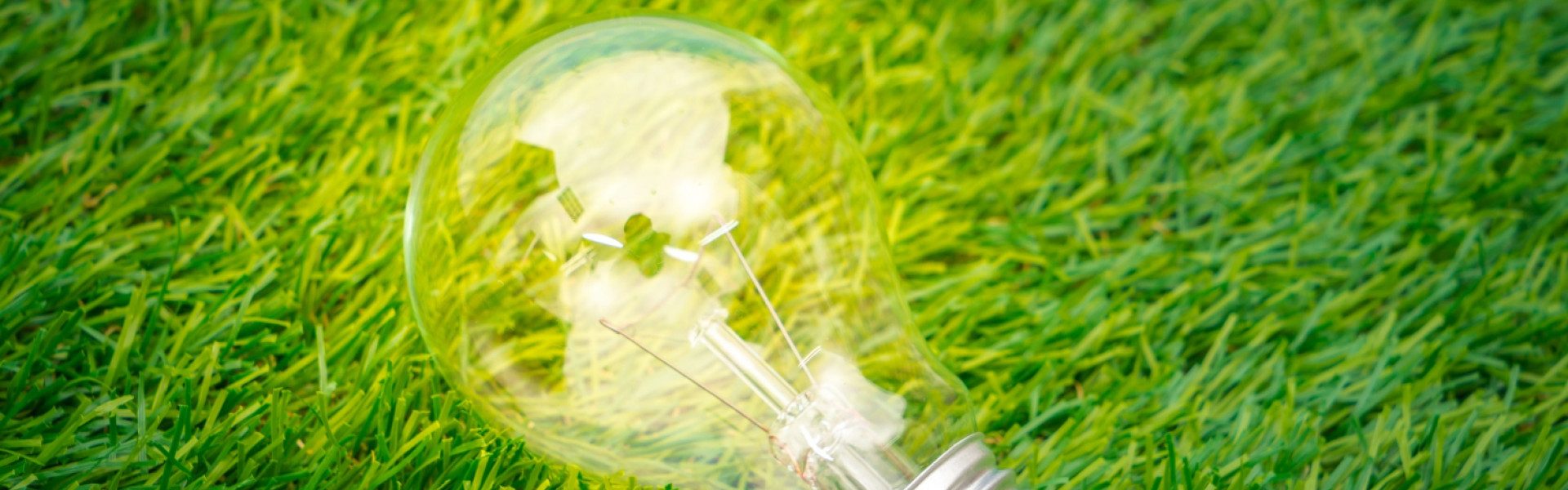 Le label vertvolt : un repère fiable pour bien choisir son fournisseur d’électricité !