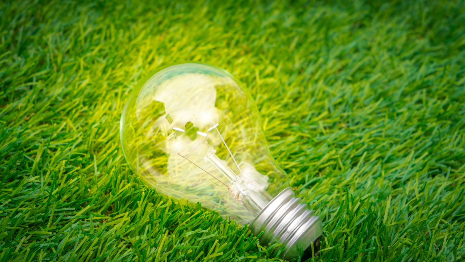 Le label vertvolt : un repère fiable pour bien choisir son fournisseur d’électricité !