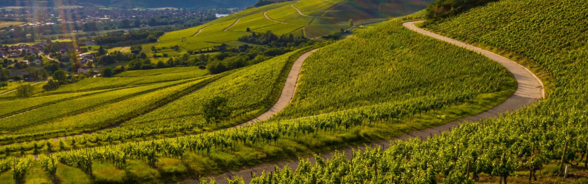 Visiter les Langhe : itinéraire idéal pour une escapade gourmande
