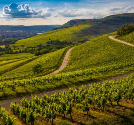 Visiter les Langhe : itinéraire idéal pour une escapade gourmande