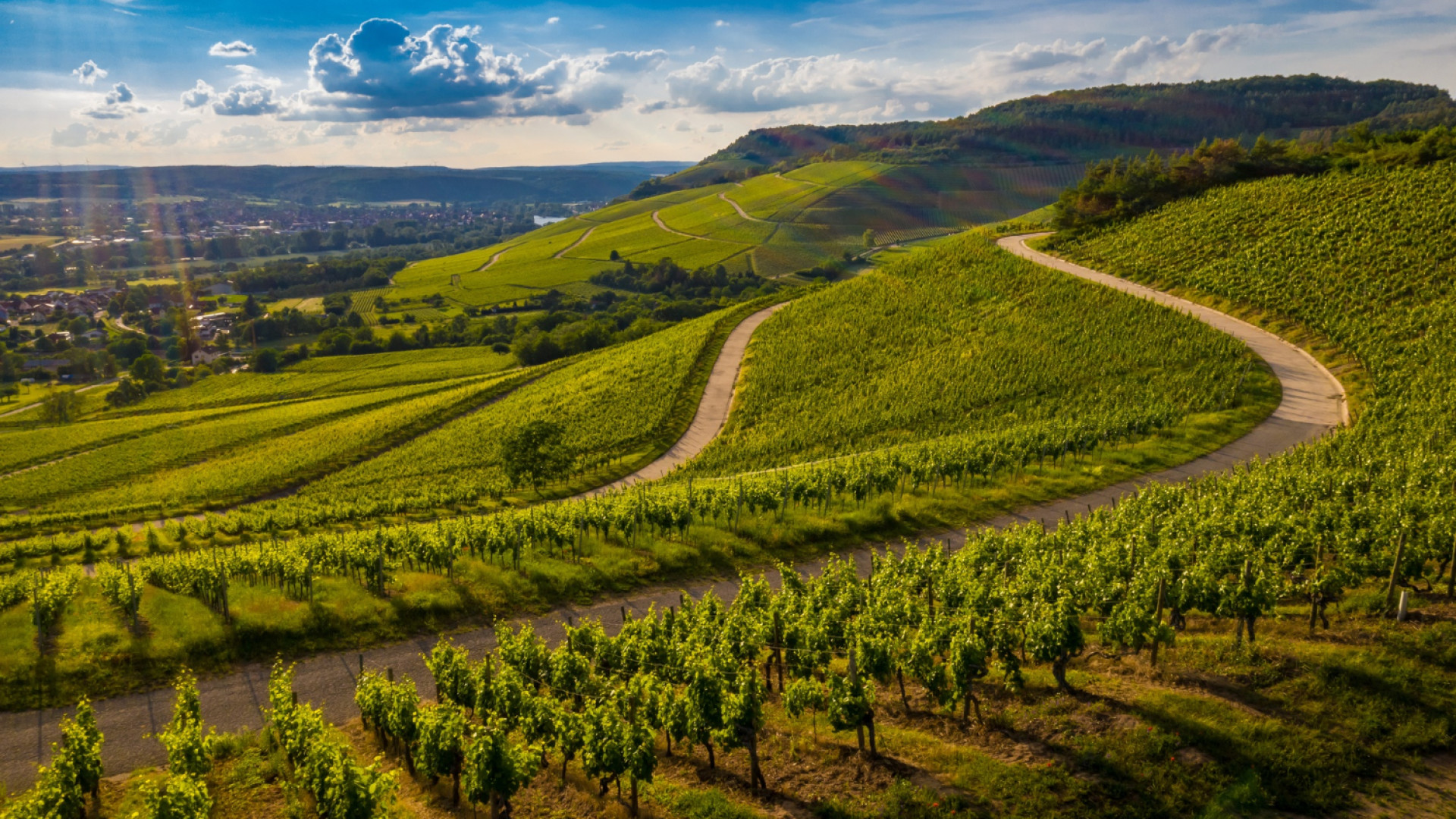 Visiter les Langhe : itinéraire idéal pour une escapade gourmande