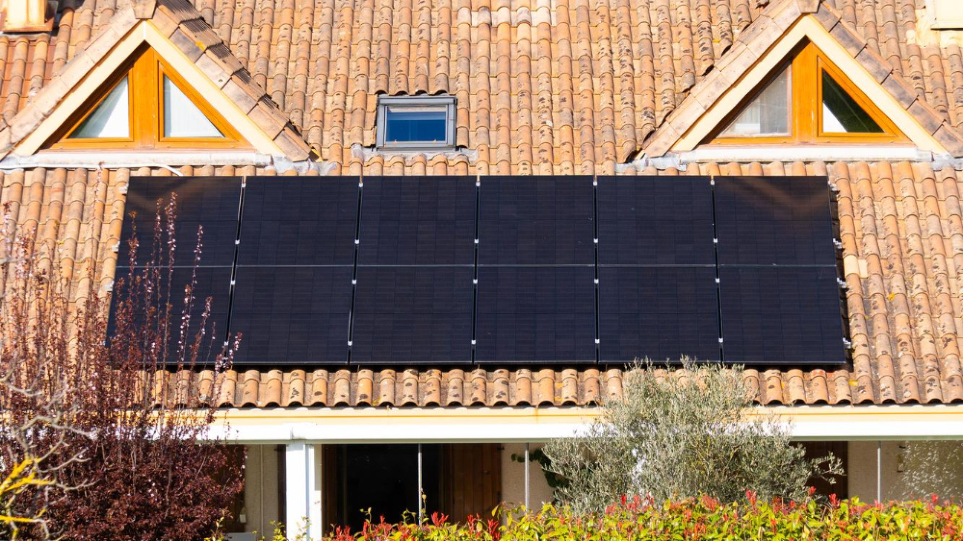 Panneaux solaires et économie d'énergie : rentabilité à long terme